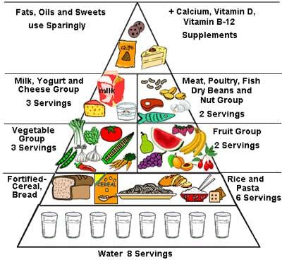 The New Nutritional Paradigm